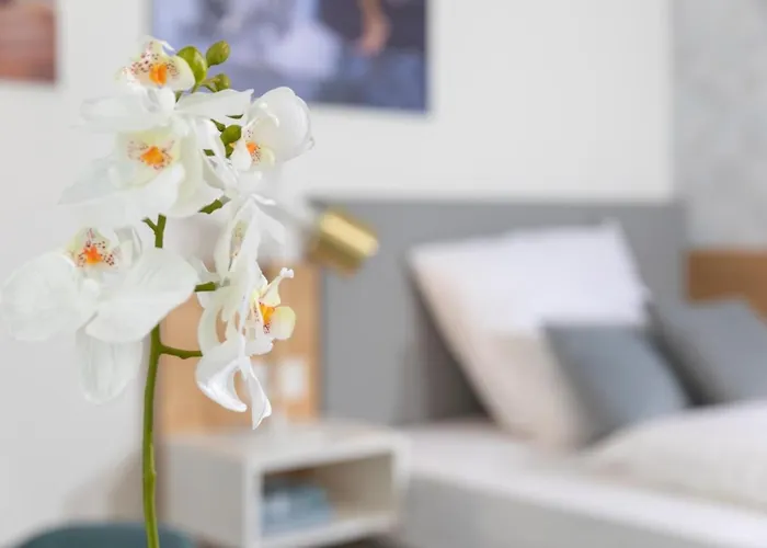 Nino-boardinghouse 19 *